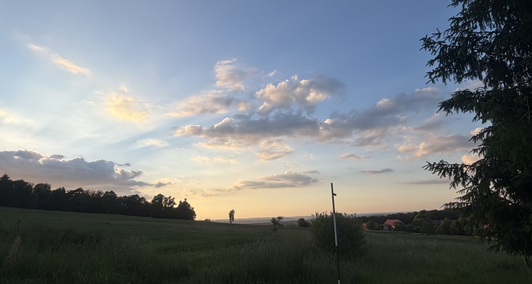 Ein grasbewachsenes Feld bei Sonnenuntergang mit vereinzelten Wolken am Himmel, Bäumen am Horizont, einem entfernten Haus und einem Pfahl mit einer roten Spitze im Vordergrund. Auf der rechten Seite ist eine große Tanne zu sehen.