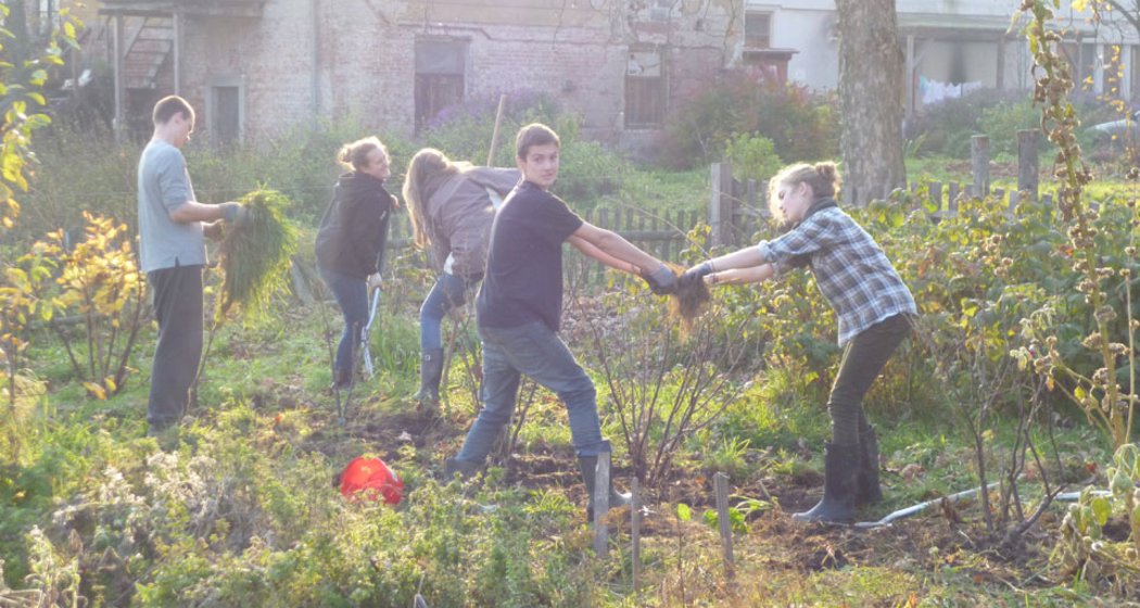 Fünf Personen arbeiten gemeinsam in einem Garten, zupfen Unkraut und räumen Pflanzen aus. Zwei Personen im Vordergrund reichen sich gegenseitig ein Bündel Unkraut, während die anderen im Hintergrund arbeiten. Der Schauplatz ist im Freien, in der Nähe alter Gebäude.